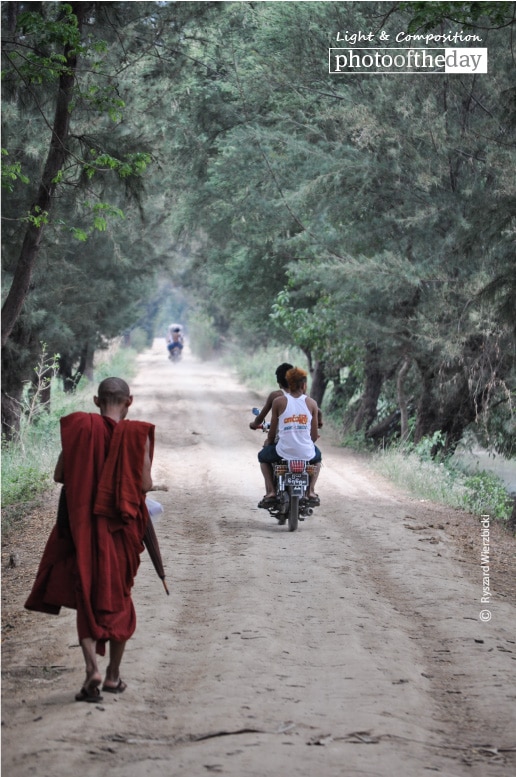 The Buddhist Path, by Ryszard Wierzbicki