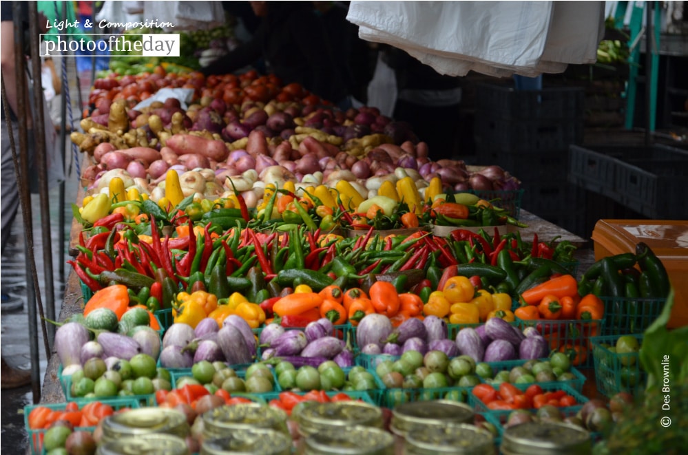 Farmer's Market, by Des Brownlie