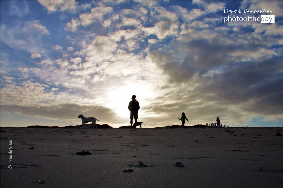 Sunset Silhouette, by Naude Visser