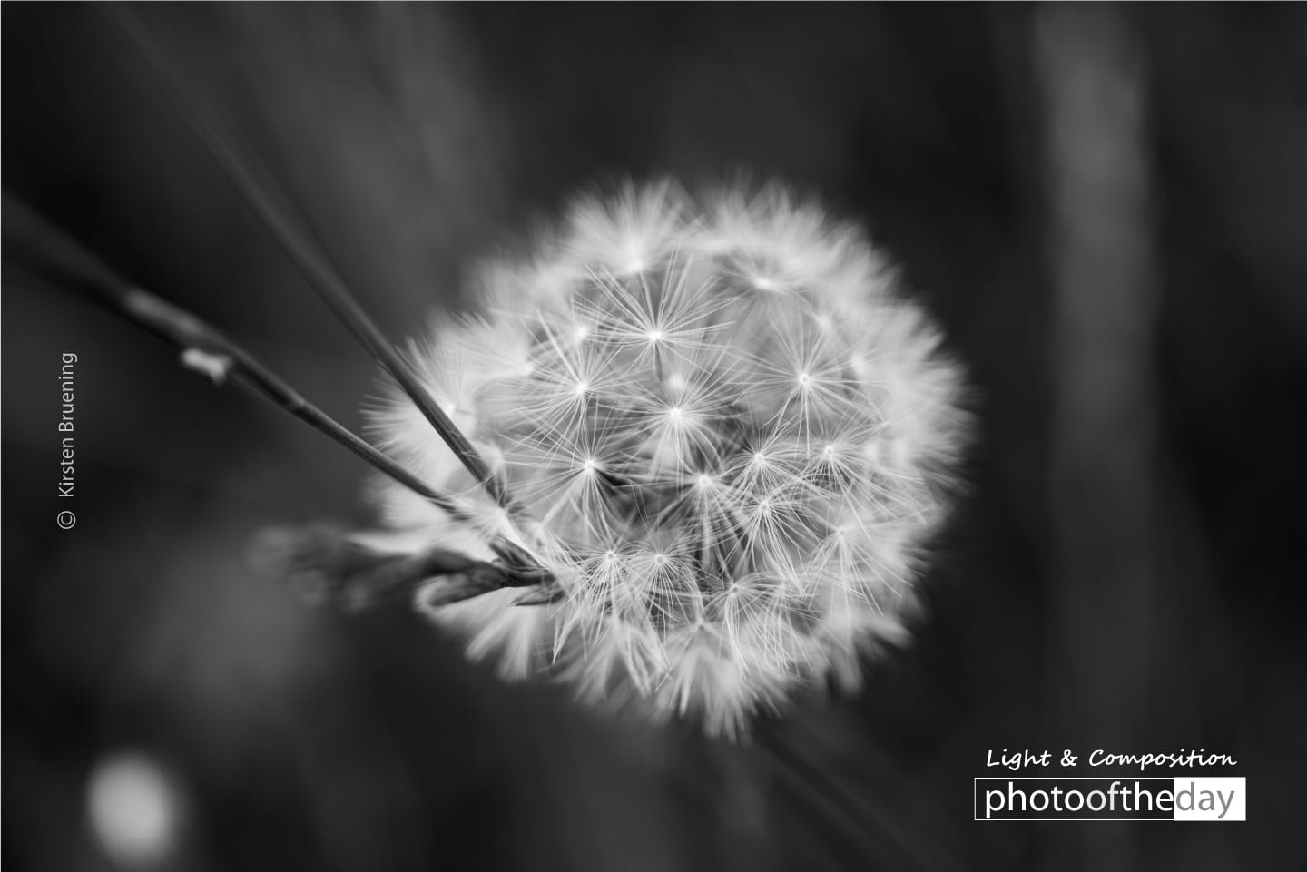 Make a Wish by Kirsten Bruening