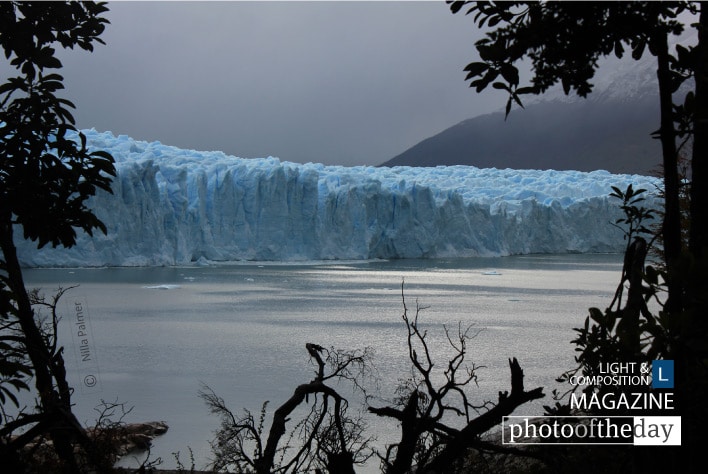 Perito Moreno Glacier, by Nilla Palmer