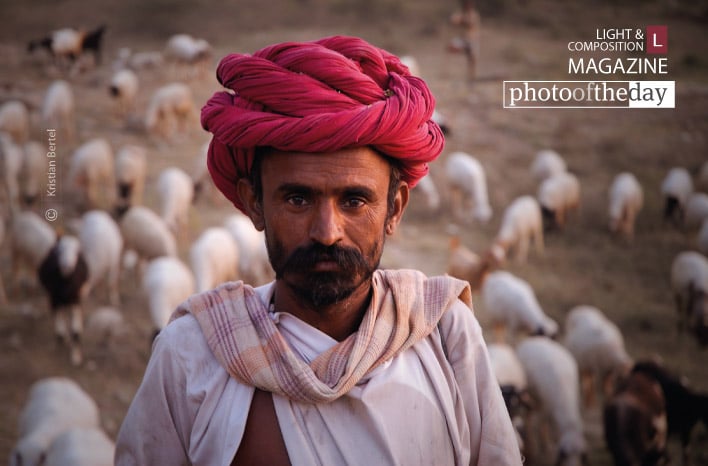 Ranakpur Shepherd, by Kristian Bertel