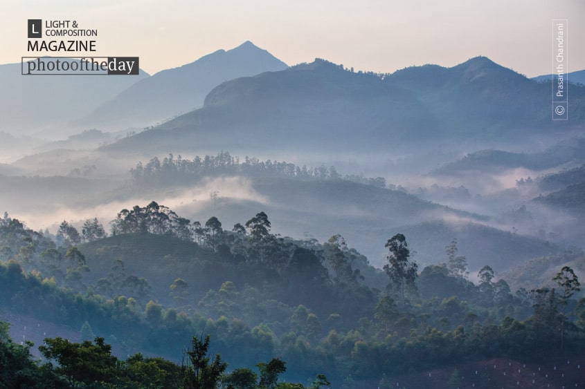 Misty Morning at Munnar, by Prasanth Chandran