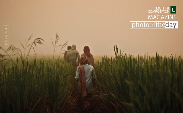 Going to Work, by Hirak Ghosh