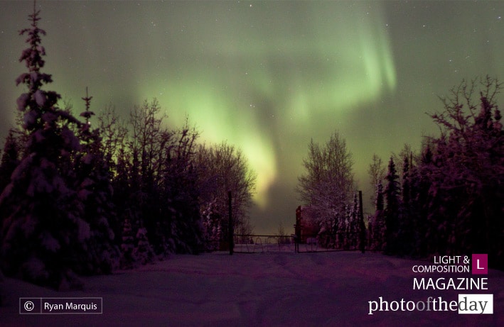 Aurora Borealis, by Ryan Marquis