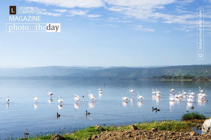 Lake Nakuru, by Mohammad Saiful Islam 