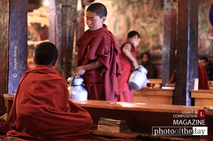 Young Monks, by Magda Biskup