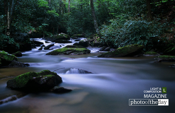 Mountain Stream, by Ronnie Glover