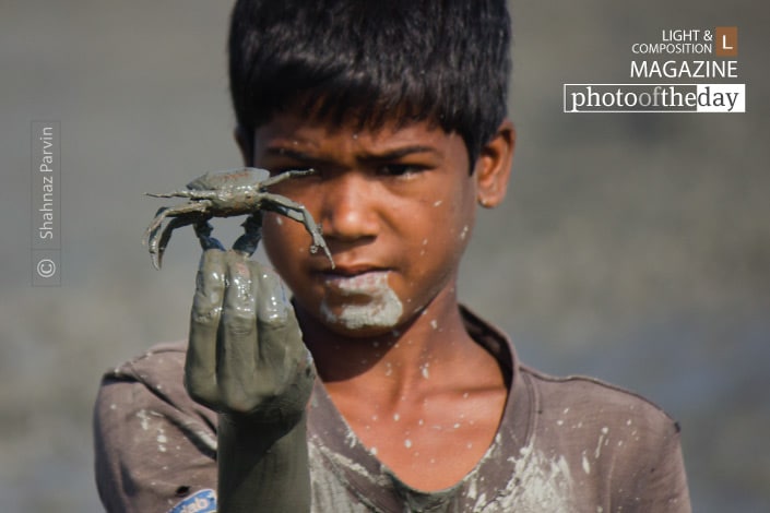 The Boy with Crab, by Shahnaz Parvin