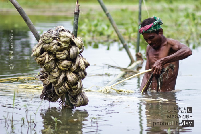 The Craftsman of Jute, by Shahnaz Parvin