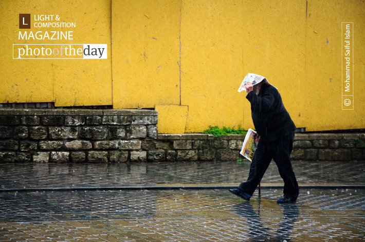 Rhythm in the Rain, by Mohammad Saiful Islam