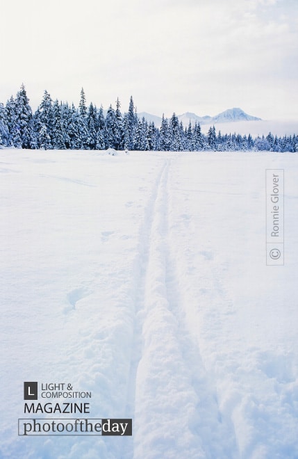 Across the Winter Landscape