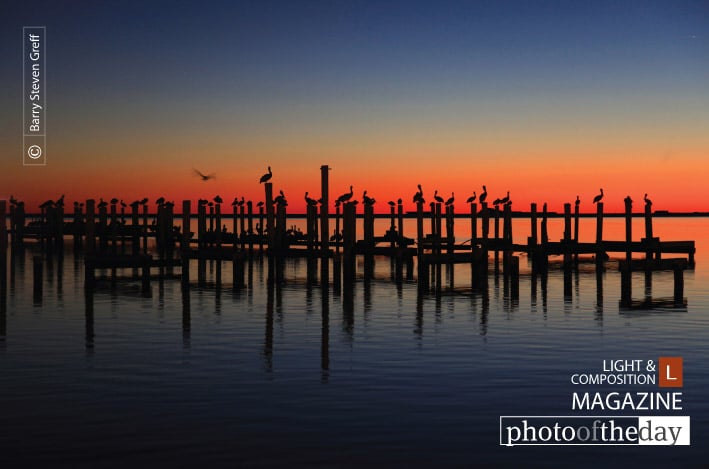 Pelican Rest, by Barry Steven Greff