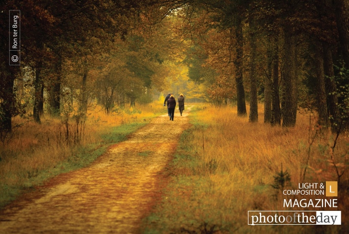 Autumn Walk in the Park, by Ron ter Burg