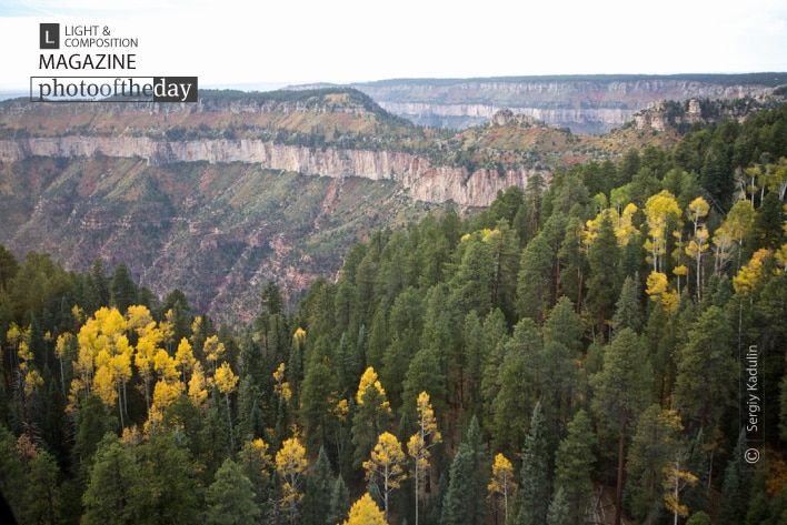 Autumn Colors of Grand Canyon, by Sergiy Kadulin