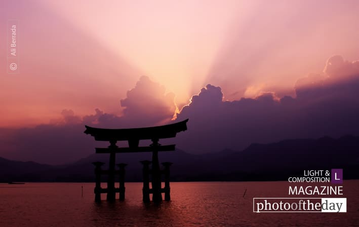 In love with Miyajima, by Ali Berrada