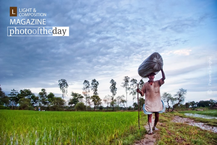 Village Life by Prasanta Singha