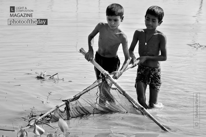 Fish Hunters, by Shahnaz Parvin