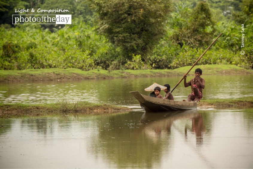 Searching for Fish, by Tanmoy Saha