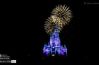 Wishes at Cinderella's Castle, by Victor Howard