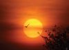 Touching the Sun, by Vaibhav Choudhary