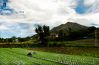 Volcanic Onion Fields, by Greg Goodman