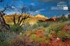 Boynton Canyon Storms, by Steve Hirsch