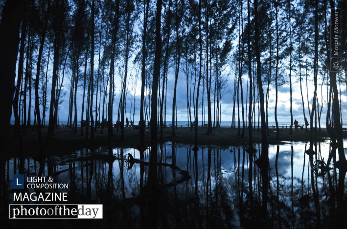 Silent Trees in a Watery Unset, by Mostafa Monwar