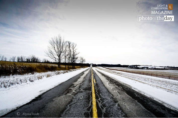 Snowy Road, by Alyssa Traub