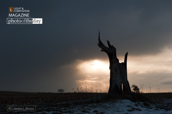 Old Man of the Lane, by James Brown