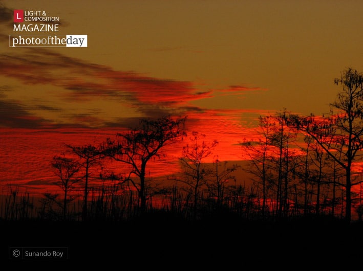 Sky on Fire, by Sunando Roy