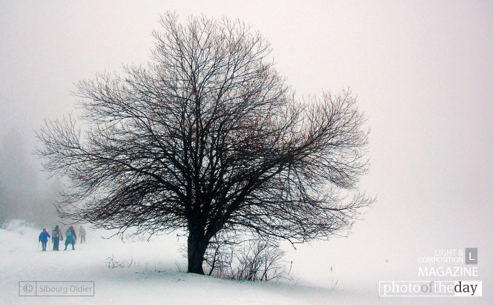 A Walk in Winter, by Didier Sibourg