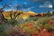 Boynton Canyon Storms, by Steve Hirsch