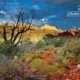 Boynton Canyon Storms, by Steve Hirsch