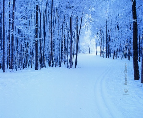 Ski Trail by Ronnie Glover