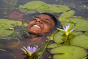 Float like a Lily Flower, by Shahnaz Parvin