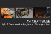 avi photographerthum