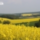 World in Yellow and Green, by Jens Hieke