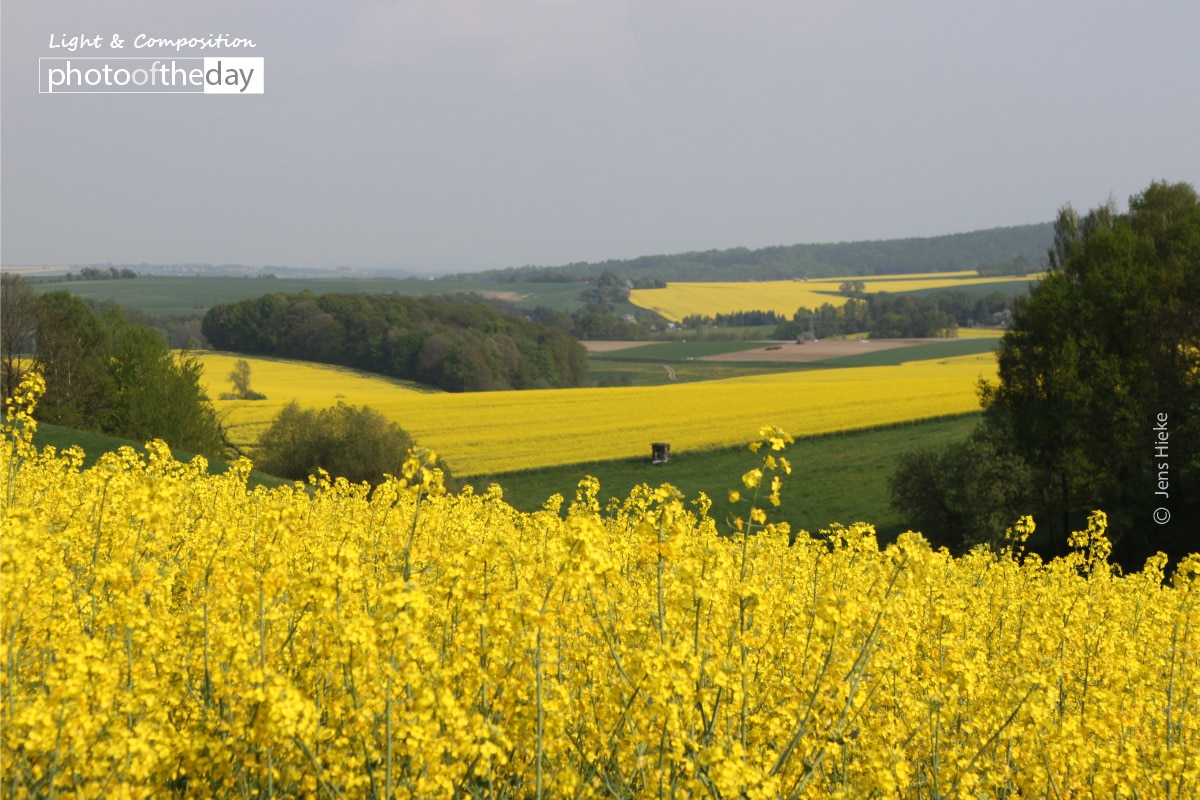 World in Yellow and Green, by Jens Hieke