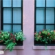 Window Boxes, by Ronnie Glover