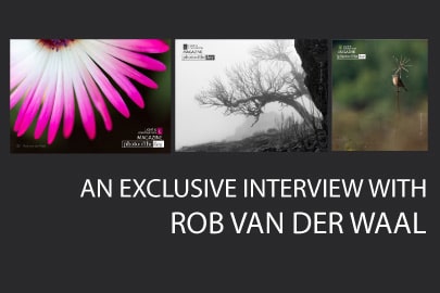 interview rob van thumb