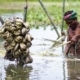 The Craftsman of Jute, by Shahnaz Parvin