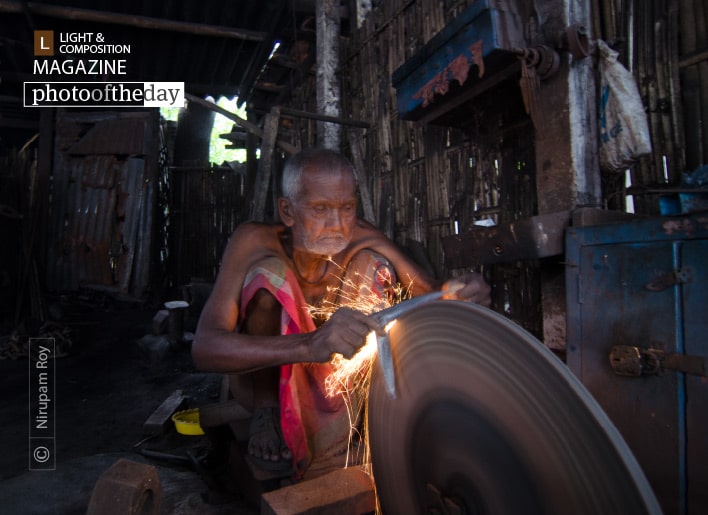 Life Long, by Nirupam Roy