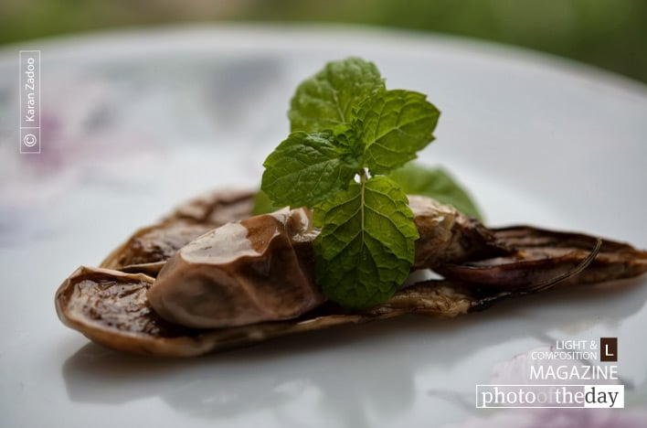 Fried Eggplant, by Karan Zadoo