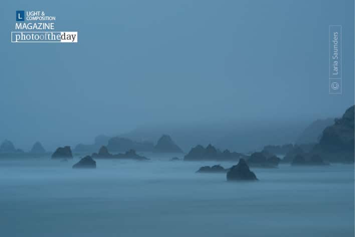 Point Reyes Meditation, by Laria Saunders