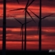 Silhouettes in the Blood Red, by Jens Hieke