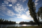 The Poplar in Wörlitzer Park, by Jens Hieke