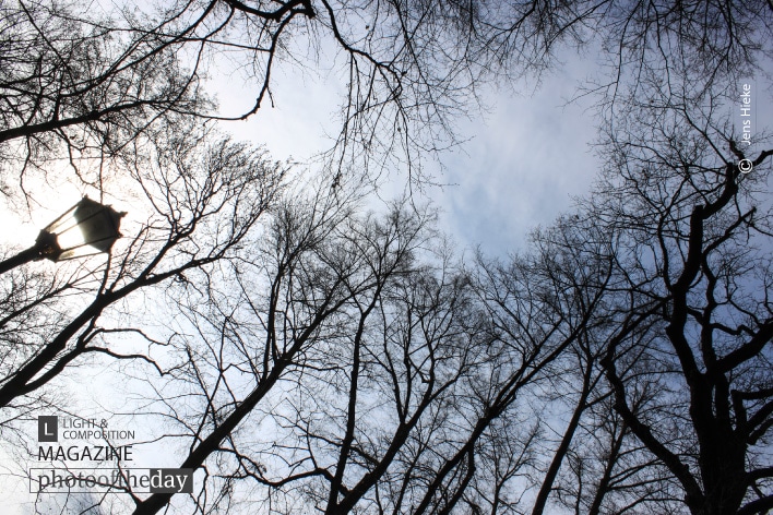 Lantern and Treetops, by Jens Hieke