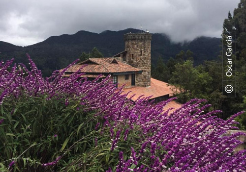 Beautiful Castle and Flowers, by Oscar Garcia