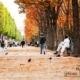 Autumn in Paris, by Minh Nghia Le